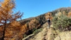 Bachalp_12_017