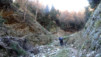 Bachalp_12_020
