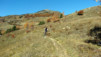 Bachalp_12_023