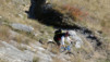 Bachalp_12_025