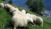 Baltschiedertal_031.jpg