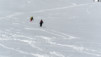 Barasson_11_011