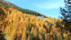 Bavon_Praz-de-Fort_002.jpg