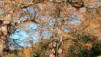 Bavon_Praz-de-Fort_019.jpg