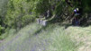 Bedjuiland_12_008