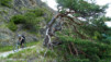 Passe encore plus vite ! Non, mais, t'as vu l'état dans lequel tu mets les arbres. Bedjuiland_13_010