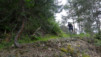Et écrase de l'herbe aussi, on dira rien, elle va repousser. Bedjuiland_13_013
