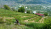 Beudon_026