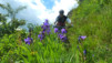 Beudon_027
