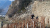 Bisse_Lentine_002