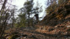 Bisse_Lentine_011