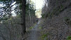 Bisse_Lentine_013