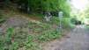 Allez hop, une première route interdite. Une ! Bisse_Saxon_09_005.jpg