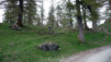 Un paturage, quelques mélèzes, un chemin, et l'instinct du single reprend immédiatement le dessus. Bisse_Saxon_09_007.jpg