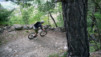 Et un chemin qui grimpe aux arbres, c'est pas étonnant ? Bisse_Saxon_09_035.jpg