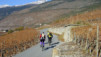 Bisse_Varen_002.jpg