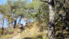 Bisse_Varen_004.jpg