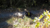 Bisses_Ayent_Sion_011.jpg