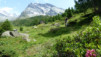 Bistinepass_10_032