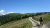 Bistinepass_13_003