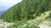 Bistinepass_13_035