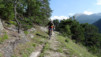 Bistinepass_13_039