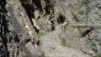 Bistinepass_13_044