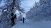 Bonhomme_Tsapi_003