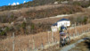 Brentjong_004