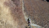 Brentjong_005