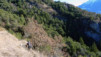 Brentjong_006