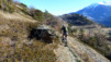 Brentjong_008
