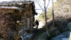 Brentjong_010