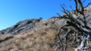 Brentjong_016