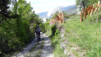 Brentjong_12_006