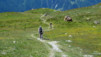 Cabane_Becs_Bosson_008