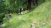 Cabane_Becs_Bosson_042