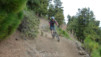 Canaries_13_Pico_Nieve_006