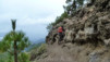 Canaries_13_Pico_Nieve_008