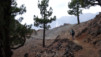 Canaries_13_Pico_Nieve_013