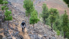 Canaries_13_Pico_Nieve_016