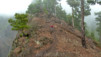 Canaries_13_Pico_Nieve_025