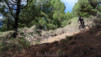 Canaries_13_Puntallana_049