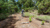 Canaries_13_Puntallana_055