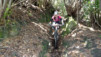 Canaries_13_Puntallana_082