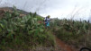 Canaries_13_Puntallana_110