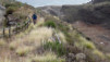 Canaries_13_Puntallana_117