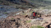 Canaries_13_Roque_Muchachos_010