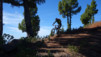 Canaries_13_Roque_Muchachos_025