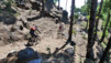 Canaries_13_Roque_Muchachos_027